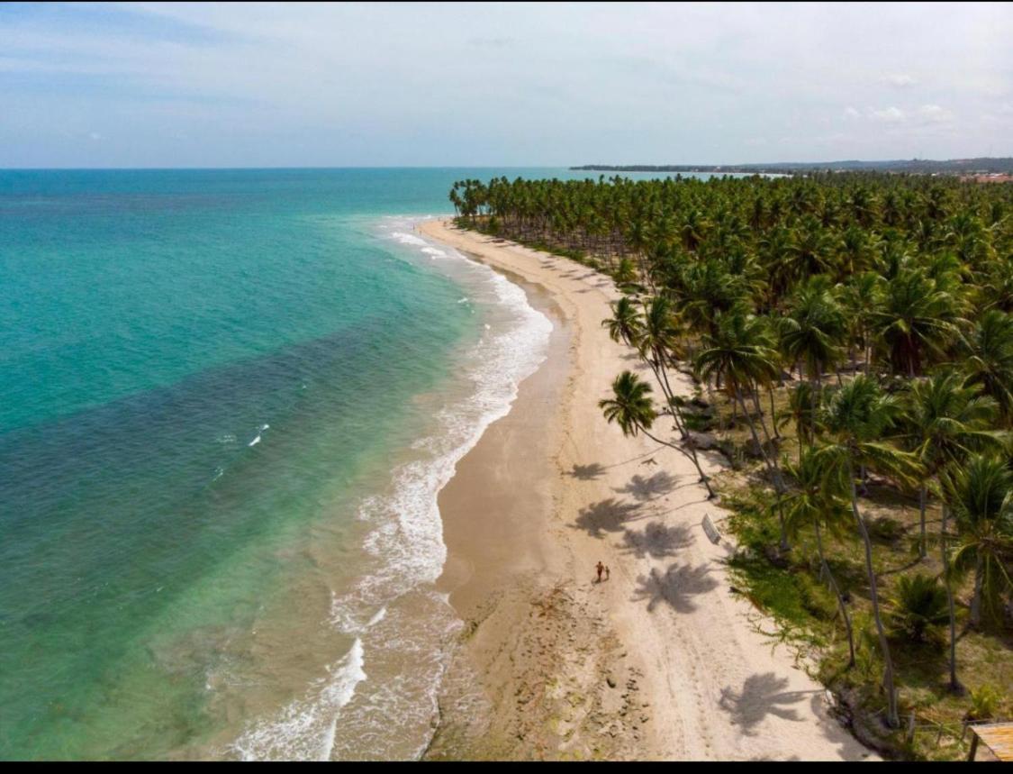 Praia Dos Carneiros Eco Resort Luxuoso Тамандаре Экстерьер фото